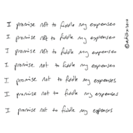 I promise not to fiddle my expenses